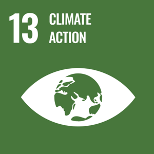 480px-Sustainable_Development_Goal_13Climate.svg